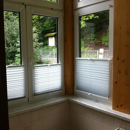 Tannenrausch 3* פרידריכרודה