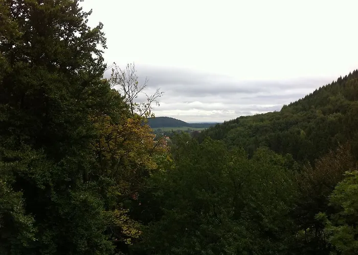 Tannenrausch Friedrichroda