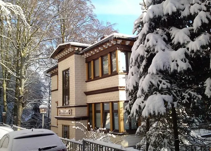 Tannenrausch Friedrichroda